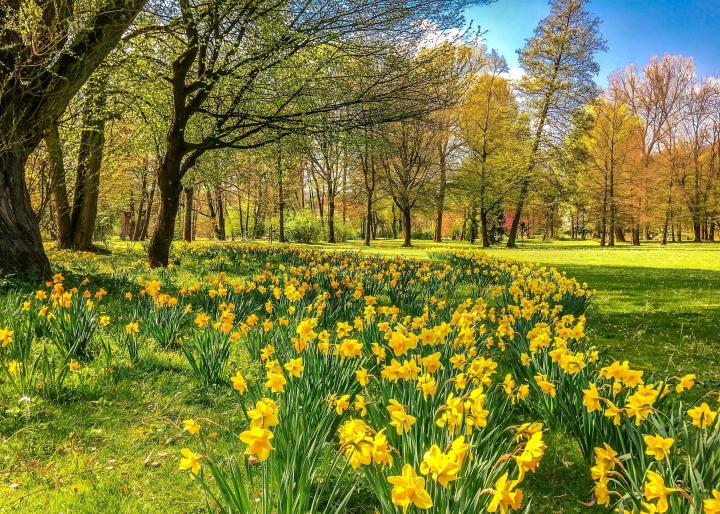 Spring 2025 Newsletter