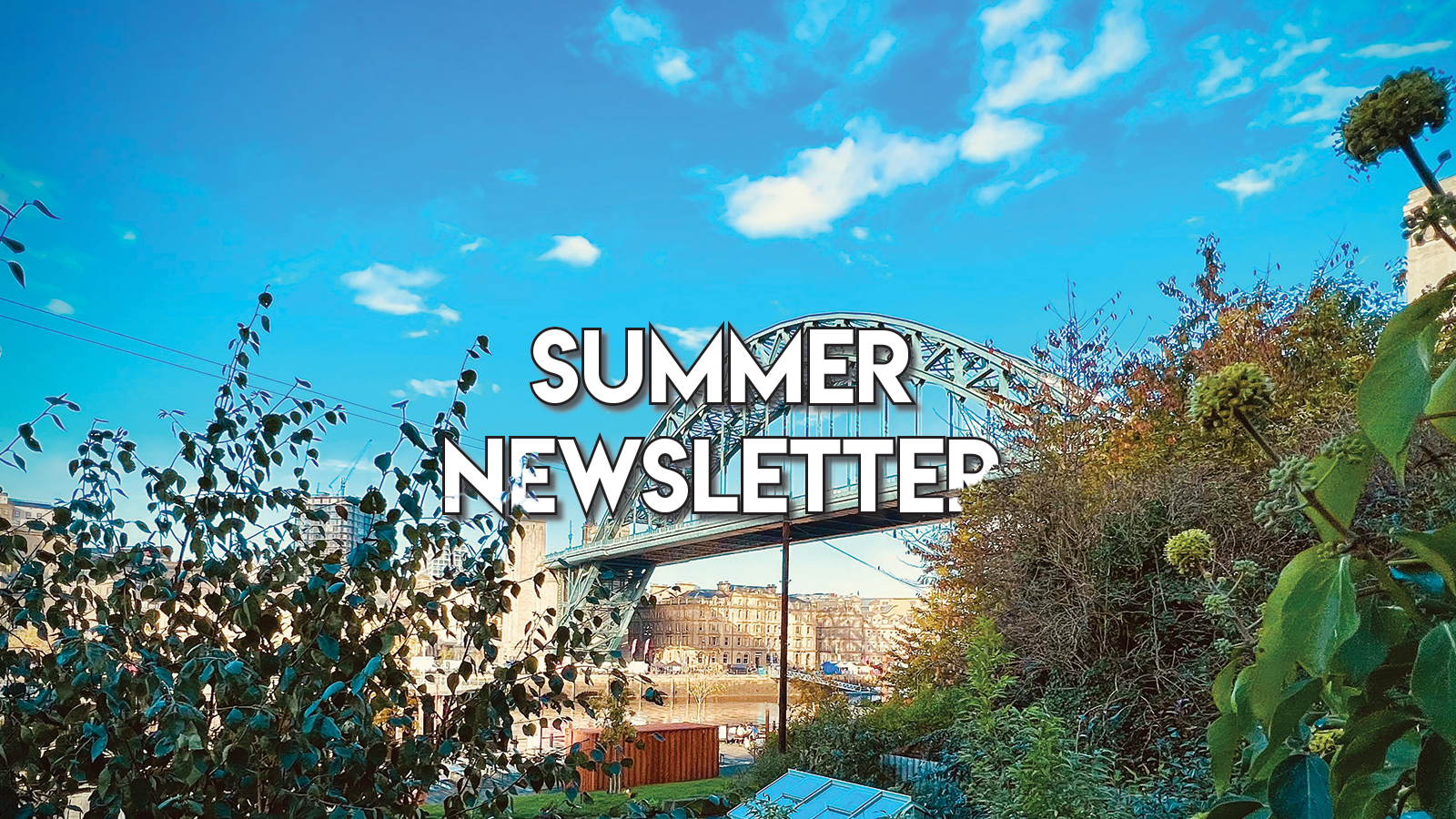 Summer Newsletter